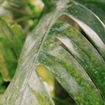 Close up of yoga mat texture with blue light
